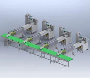 Cracker Biscuit Automatic Packing Machine System